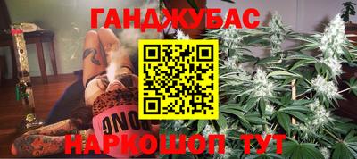 Альфа ПВП Можга