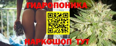 Альфа ПВП Можга