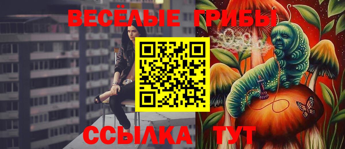 Галлюциногенные грибы Psilocybe  Вход с VPN  Ухта 